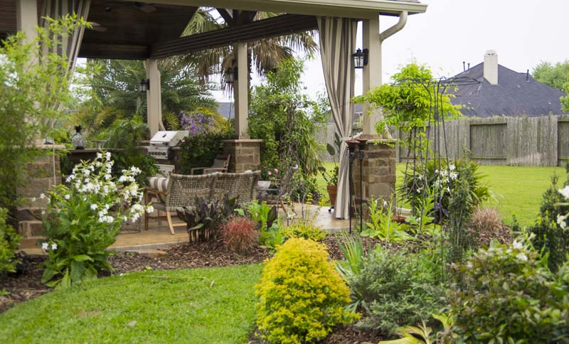 terrace plants_