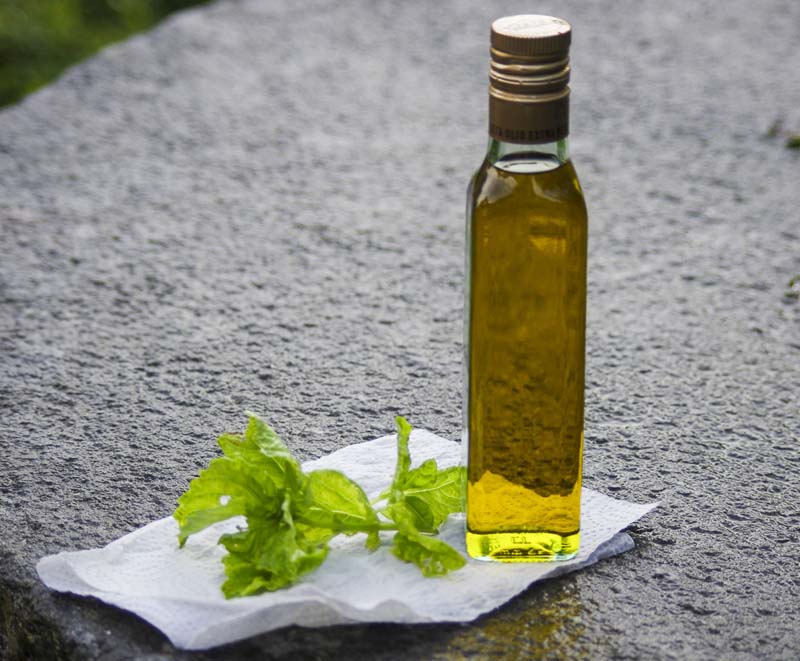 Basil in olive oil_