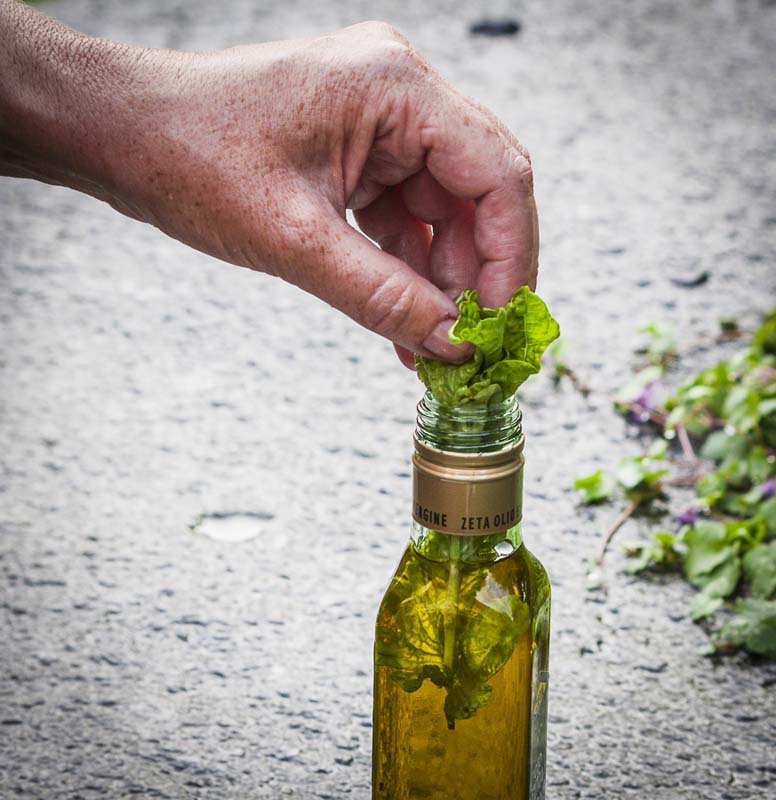 Basil and olive oil_