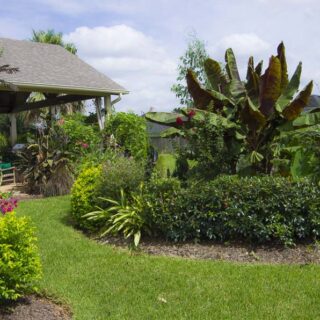 VISITING OUR COTTAGE GARDEN IN SCANDINAVIA