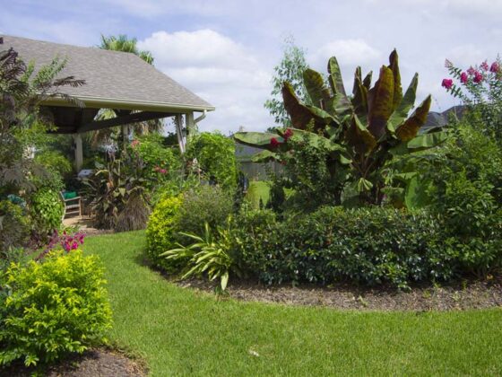 THE JULYGARDEN  IN SUBTROPICAL CLIMATES