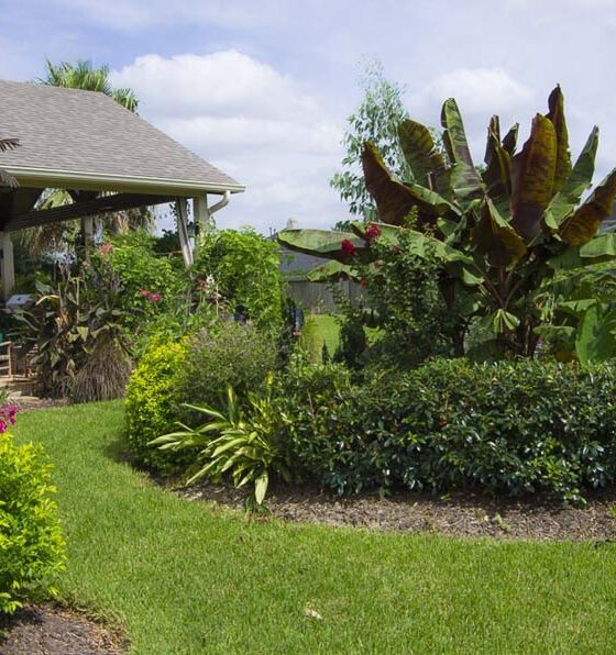 THE JULYGARDEN  IN SUBTROPICAL CLIMATES