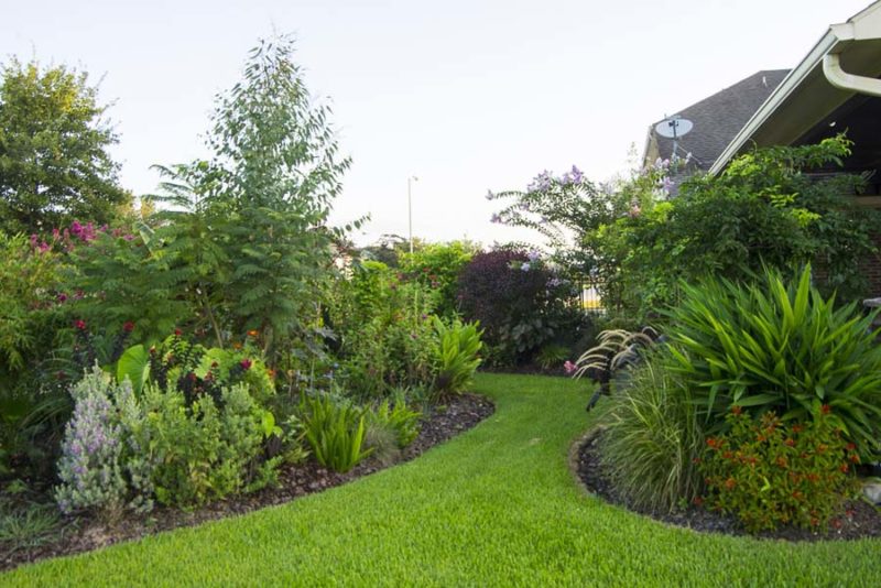 Compare garden from month to month