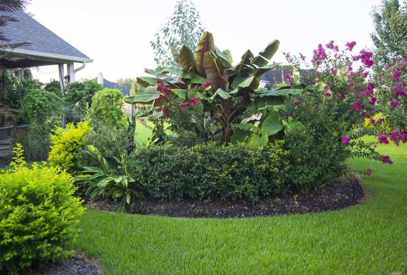 Compare garden from month to month