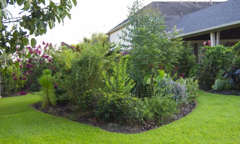 Compare garden from month to month