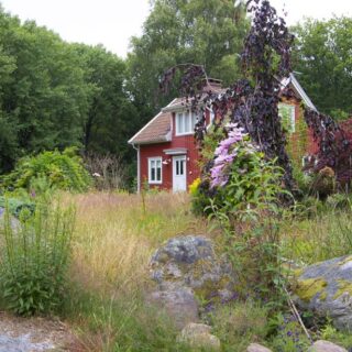 THE JULYGARDEN  IN SUBTROPICAL CLIMATES