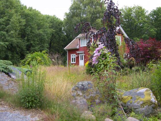 VISITING OUR COTTAGE GARDEN IN SCANDINAVIA