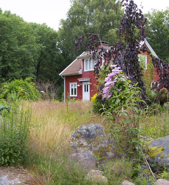 VISITING OUR COTTAGE GARDEN IN SCANDINAVIA