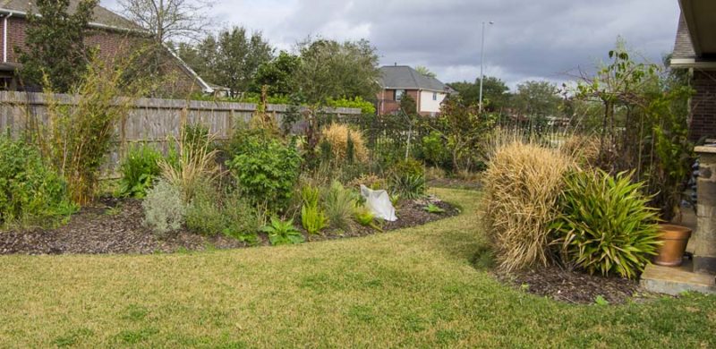 Compare garden from month to month