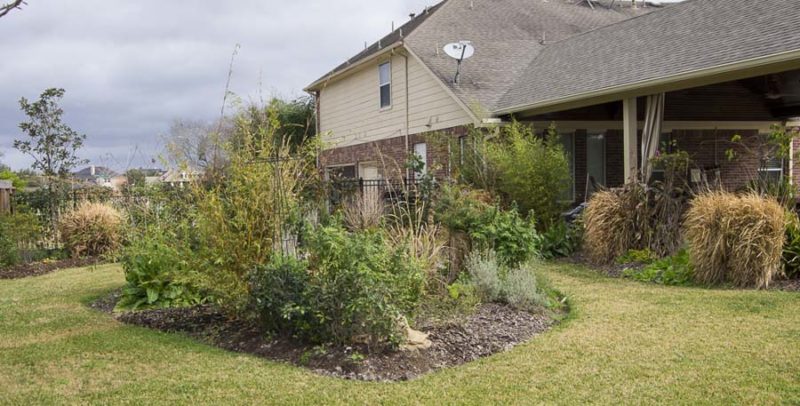 Compare garden from month to month