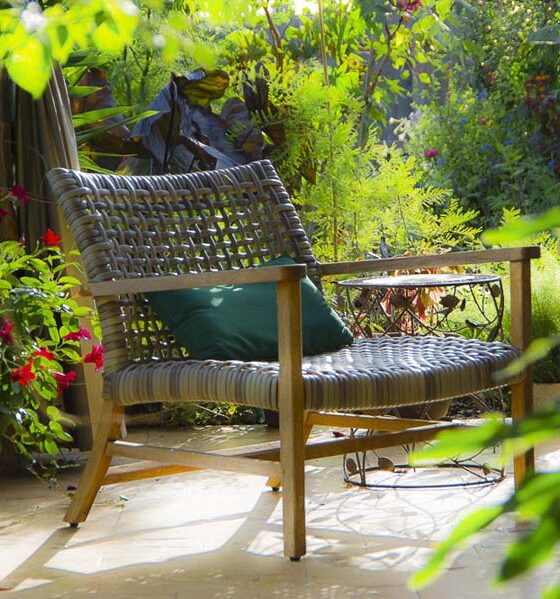 PLANTS AROUND THE OUTDOOR SITTING AREA