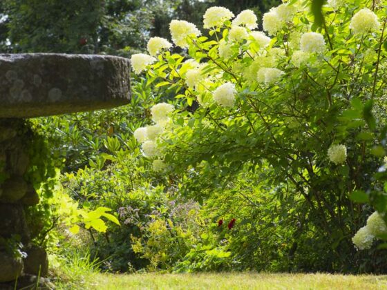 PREPARE A GARDEN FOR LONG ABSENCES