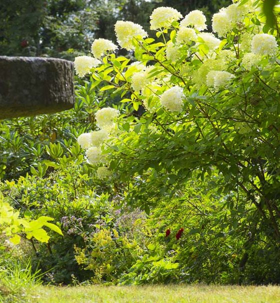 PREPARE A GARDEN FOR LONG ABSENCES