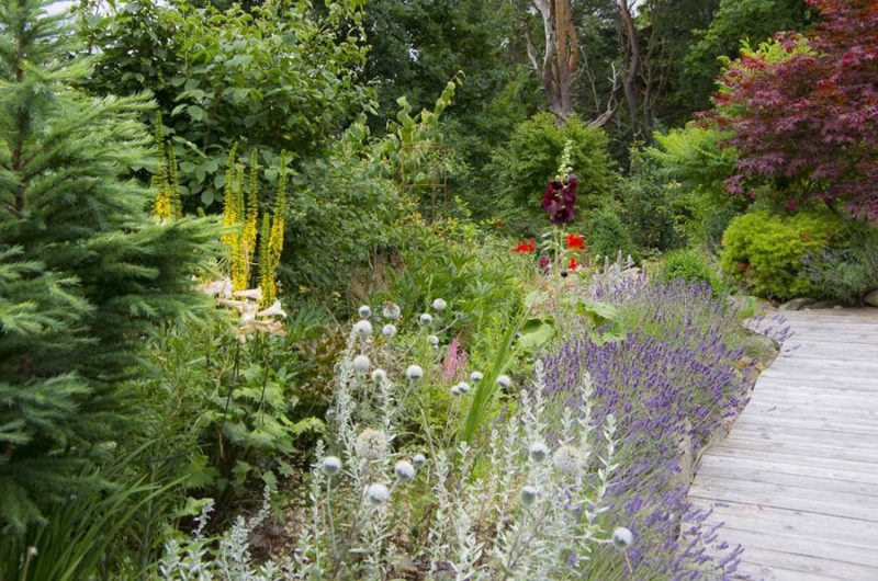Weeded flowerbed_